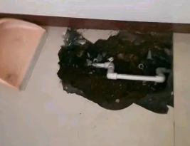 龙文卫生间测漏水多少钱